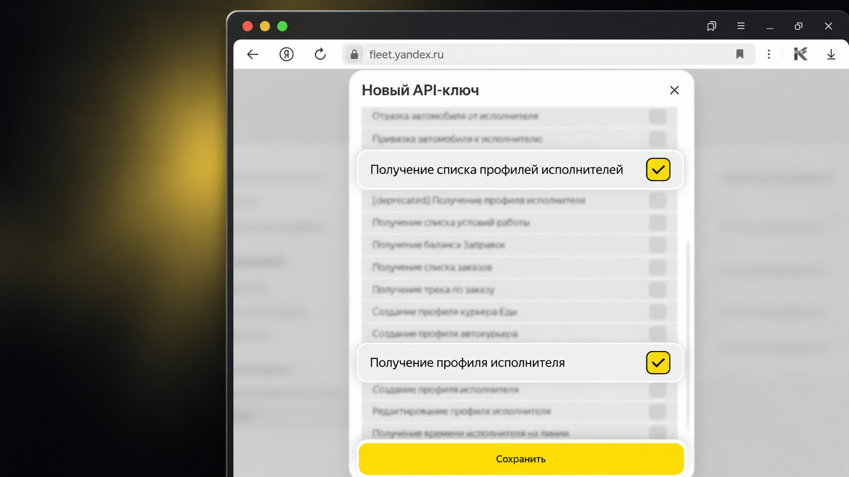 Форма нового API-ключа Яндекс Fleet с двумя выбранными разрешениями на получение профилей исполнителей.